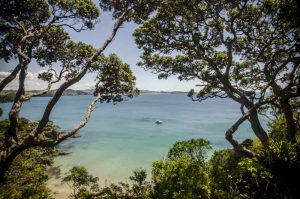 A serene coastal view framed by the silhouettes of lush trees, with a single boat floating on the calm azure waters under a clear sky.