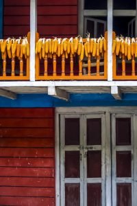 Cobs of corn hanging to dry on a railing of a colorful wooden balcony above a set of weathered doors.
